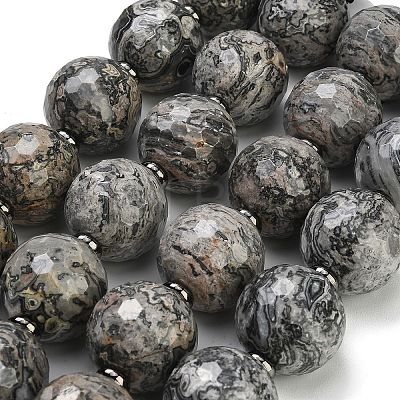 Natural Map Stone Beads Strands GG-CBA007A-D06-02-1