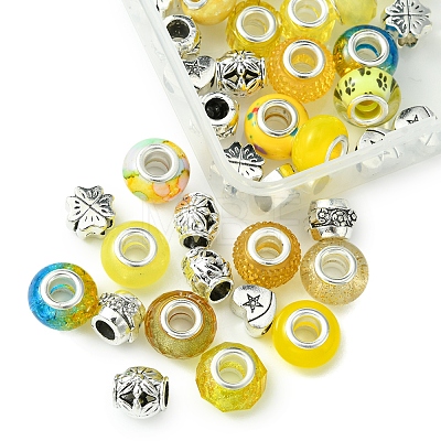DIY Tibetan Style Alloy & Resin European Beads Making Finding Kits DIY-FS0006-78B-1