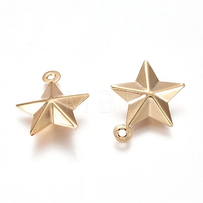 304 Stainless Steel Pendants X-STAS-I138-12G-1