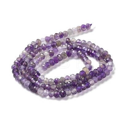 Natural Amethyst Beads Strands G-J400-C07-03-1