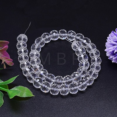 Faceted Flat Round Imitation Austrian Crystal Bead Strands G-M186-8x6mm-02A-1