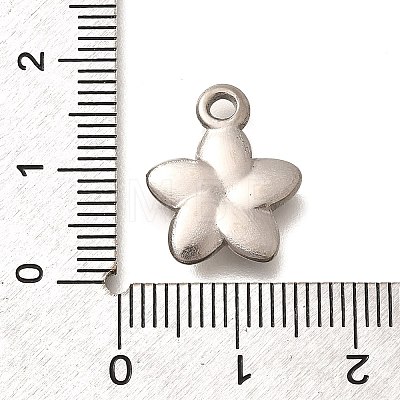 304 Stainless Steel Pendants STAS-P381-10P-1