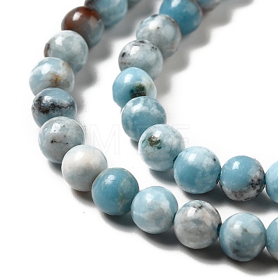 Natural Gemstone Beads Strands G-F730-02A-1