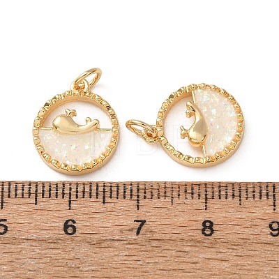Brass Resin Pendants RE-H001-01G-01-1