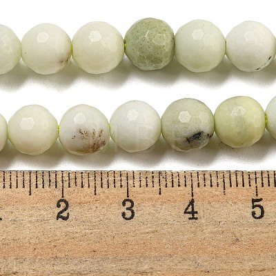 Natural Dendritic Jasper Beads Strands G-E571-A05-02-1