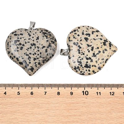 Natural Dalmatian Jasper Pendants GG-K002-04L-1