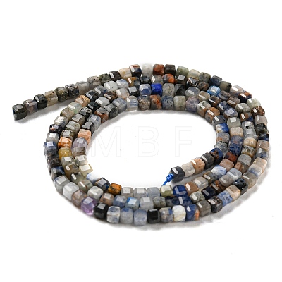 Natural Sodalite Beads Strands G-J400-A09-01-1