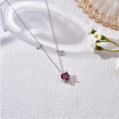 925 Sterling Silver Zircon Pendant Necklace 12 Constellation Pendant Necklace Jewelry Anniversary Birthday Gifts for Women Men JN1088A-1