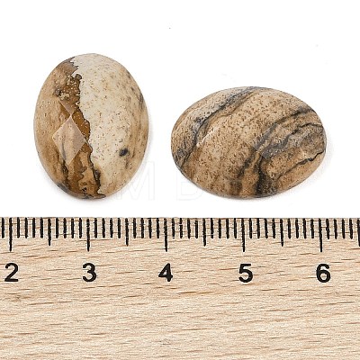 Natural Picture Jasper Cabochons G-Q186-01C-1