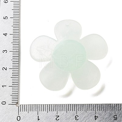 Opaque Resin Pendants FIND-M035-02D-1