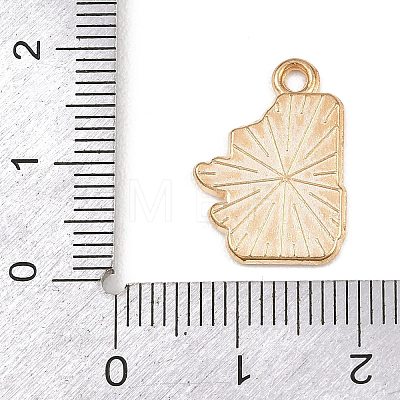 Valentine's Day Alloy Enamel Pendants ENAM-I084-01KCG-14-1