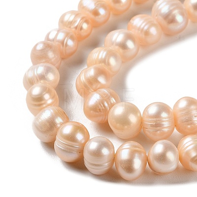 Natural Cultured Freshwater Pearl Beads Strands PEAR-E018-29-1