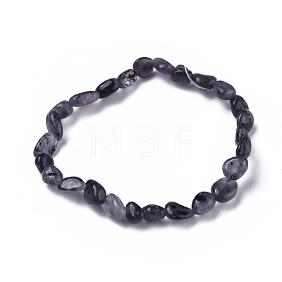 Natural Iolite/Cordierite/Dichroite Bead Stretch Bracelets BJEW-K213-41-1