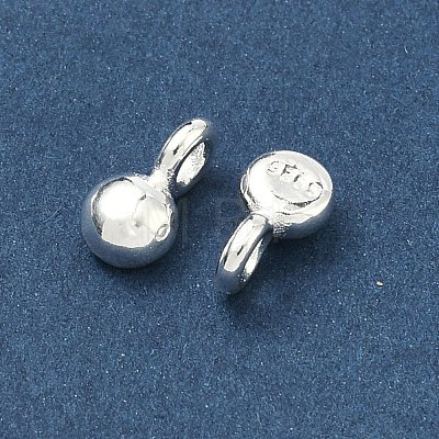 925 Sterling Silver Charms STER-H119-05B-S-1