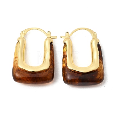 Brass Resin Hoop Earrings EJEW-P333-11B-G02-1