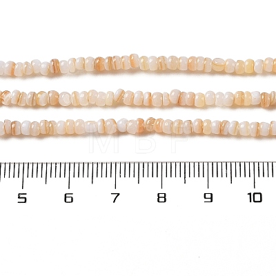 Natural Freshwater Shell Beads Strands SHEL-P017-01B-10-1