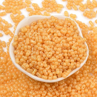 Baking Paint Glass Seed Beads SEED-L011-09A-04-1