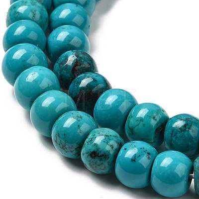 Natural Howlite Beads Strands G-B049-C01-05A-1
