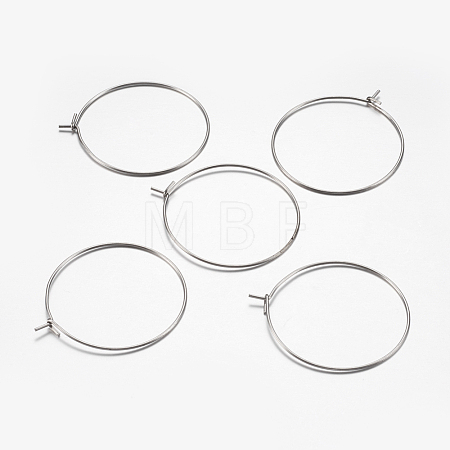 316 Surgical Stainless Steel Hoop Earrings Findings STAS-I097-050A-1