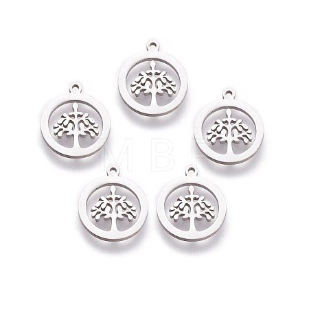 Non-Tarnish 304 Stainless Steel Charms X-STAS-I098-03-1