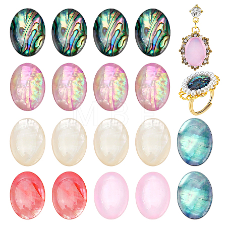 18Pcs 6 Colors Natural Shell Cabochons with Enamel BSHE-PH0001-66-1