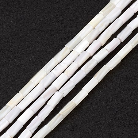 Natural Freshwater Shell Dyed Beads Strands SHEL-M018-11-12-1