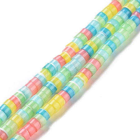 Natural Trochid Shell Beads Strands SSHEL-G023-02C-01-1