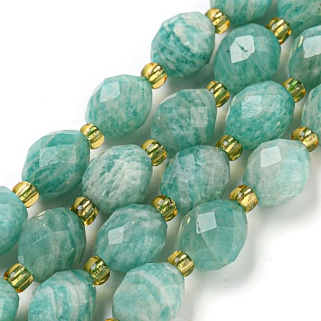 Natural Amazonite Beads Strands G-N342-46-1