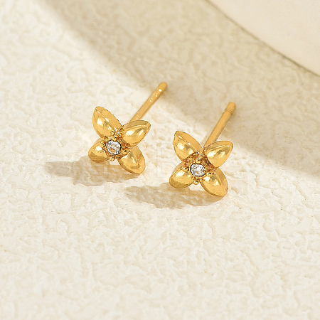 Stainless Steel Stud Earrings WE4246-1