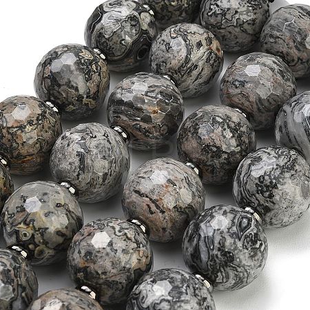 Natural Map Stone Beads Strands GG-CBA007A-D06-02-1