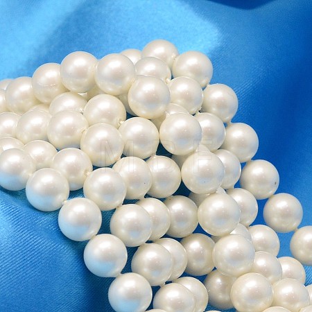 Round Shell Pearl Bead Strands BSHE-L011-10mm-A013A-1