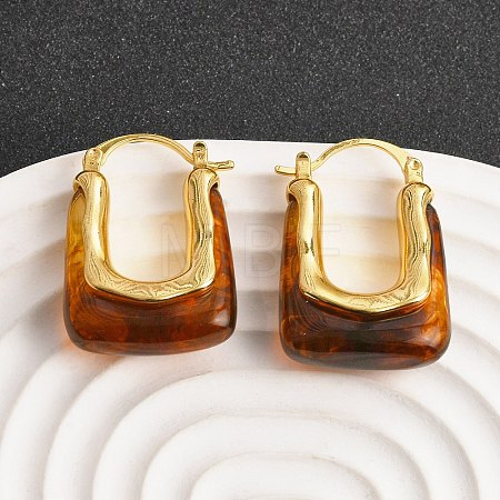 Brass Resin Hoop Earrings EJEW-P333-11B-G02-1