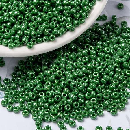 MIYUKI Round Rocailles Beads X-SEED-G008-RR0431-1
