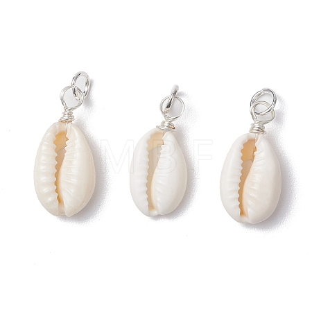 Natural Cowrie Shell Pendants PALLOY-JF03710-01-1
