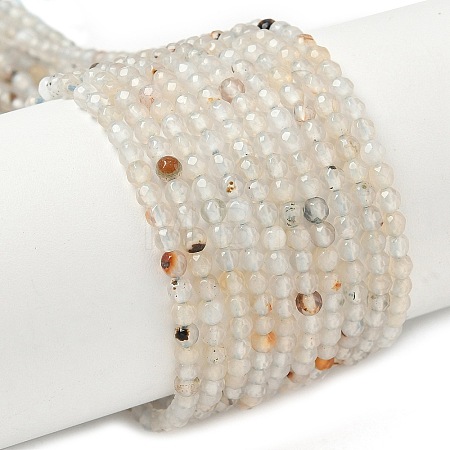 Natural Agate Beads Strands G-H302-A04-03-1