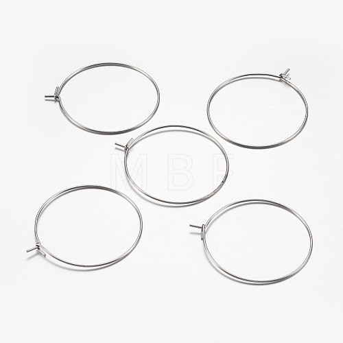 316 Surgical Stainless Steel Hoop Earrings Findings STAS-I097-050A-1