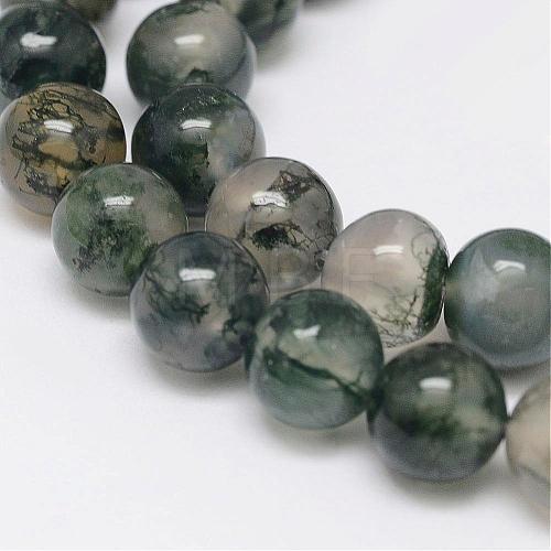 Natural Moss Agate Beads Strands G-F342-02-6mm-1