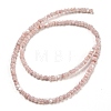 Natural White Shell Dyed Beads Strands BSHE-Z005-03D-2