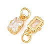 Brass Pave Cubic Zirconia Charms KK-K340-50G-03-2