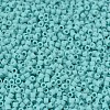 MIYUKI Delica Beads X-SEED-J020-DB1586-3