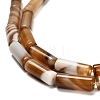 Dyed Natural Agate Beads Strands G-G203-01H-4