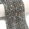 Natural Labradorite Beads Strands G-L654-O02-6mm-1
