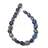 Natural Lapis Lazuli Beads Strands G-C286-A06-4