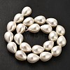 Electroplate Shell Pearl Beads Strands BSHE-G010-14x18mm-01-3