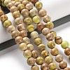 Dyed Natural Regalite/Imperial Jasper/Sea Sediment Jasper Beads Strands G-B124-C01-08-2