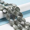 Natural Labradorite Beads Strands X-G-L164-A-34-2