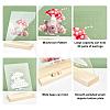 Transparent Acrylic Earring Displays NDIS-WH0015-01B-5