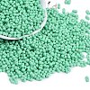 Baking Paint Glass Seed Beads X1-SEED-K010-A07-1