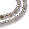 Natural Labradorite Rondelle Bead Strands G-O095-05-A-2