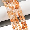Natural Red Agate Beads Strands G-A248-A06-01-1